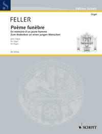 Poème funèbre : En mémoire d'un jeune homme
