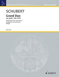 Grand Duo op. post. 140 D 812 : for nine Instruments