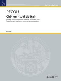 Chö, un rituel tibétain : for alto flute in G, bass clarinet, violoncello, percussion and piano