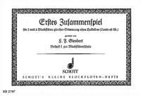 Erstes Zusammenspiel
