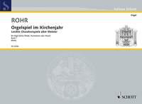 Orgelspiel Im Kirchenjahr 1