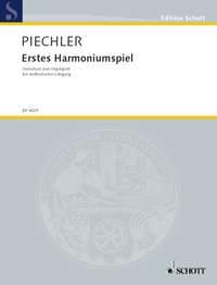 Erstes Harmoniumspiel