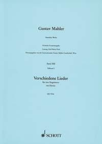 Samtliche Werke Band XIII, 5 : Verschiedene Lieder