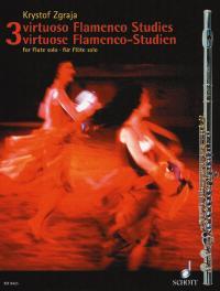 Virtuose Flamencostudien