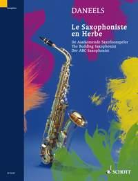 The Budding Saxophonist : Exercises for the first grade