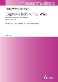 Behind The Wire