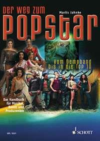 Der Weg zum Popstar : Vom Demo bis in die Top 10