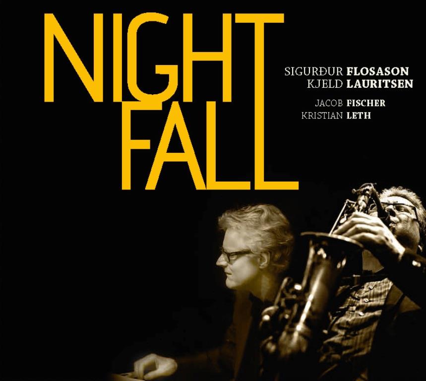 Sigurdur Flosason: Night Fall