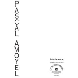 Pascal Amoyel: Itin&eacute;rance