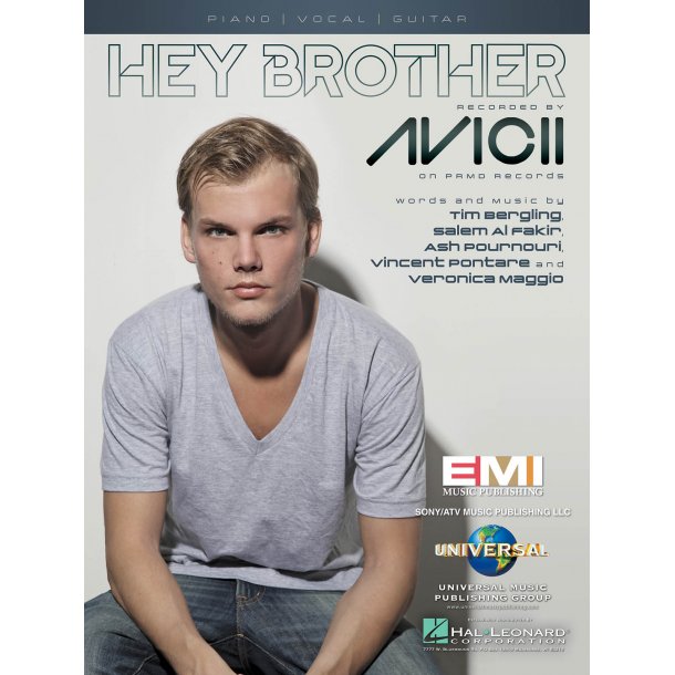 Avicii Hey Brother Pvg Sheet
