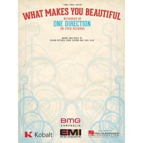 One Direction What Makes Beaut Pvg
