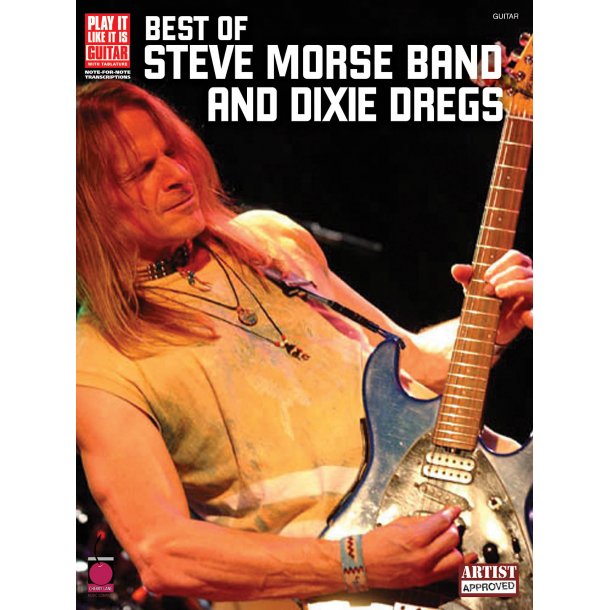 BEST STEVE MORSE BND DIXIE DREGS GTR