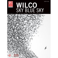 WILCO SKY BLUE SKY GTR TAB