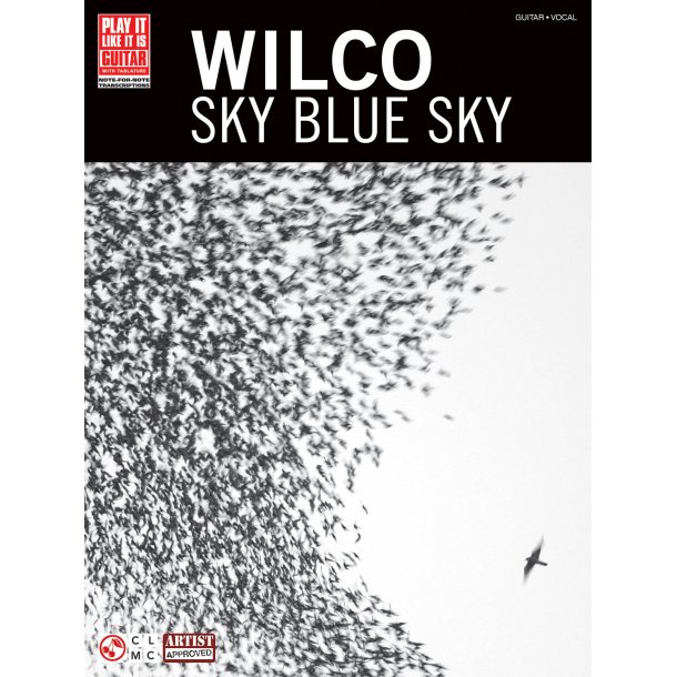 WILCO SKY BLUE SKY GTR TAB