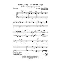 TURNER TINA RIVER DEEP MOUNTAIN HIGH (SHAW KIRBY) SAB