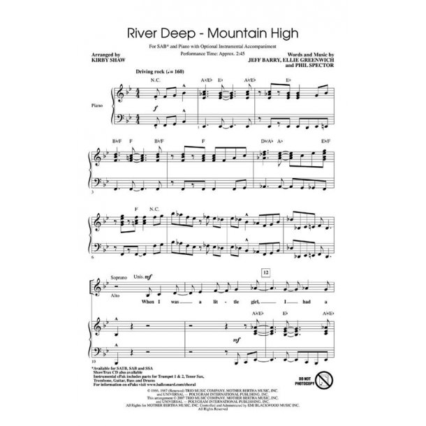 TURNER TINA RIVER DEEP MOUNTAIN HIGH (SHAW KIRBY) SAB