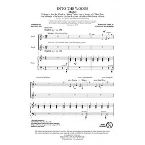 SONDHEIM STEPHEN INTO THE WOODS MEDLEY (ARR LOJESKI ED) 2 PART CHORAL
