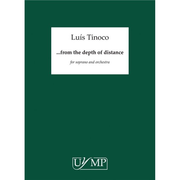 Lu&iacute;s Tinoco: ?from the depth of distance