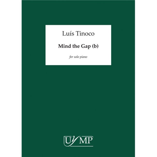 Lu&iacute;s Tinoco: Mind the Gap (b)