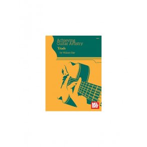 William Bay: Achieving Guitar Artisty - Triads