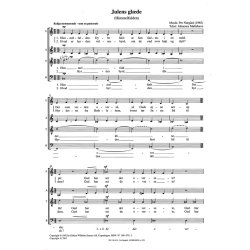 Julens Glaede - Himmelfalden