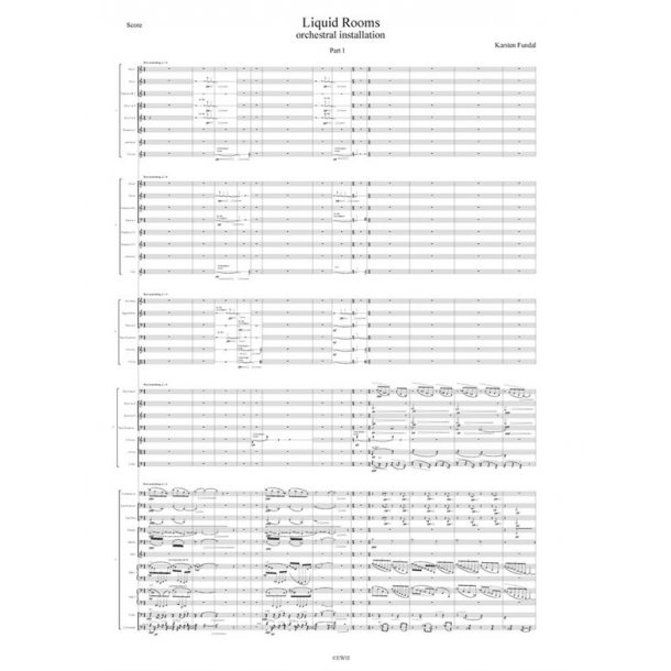 Karsten Fundal Liquid Rooms Sc (B3)