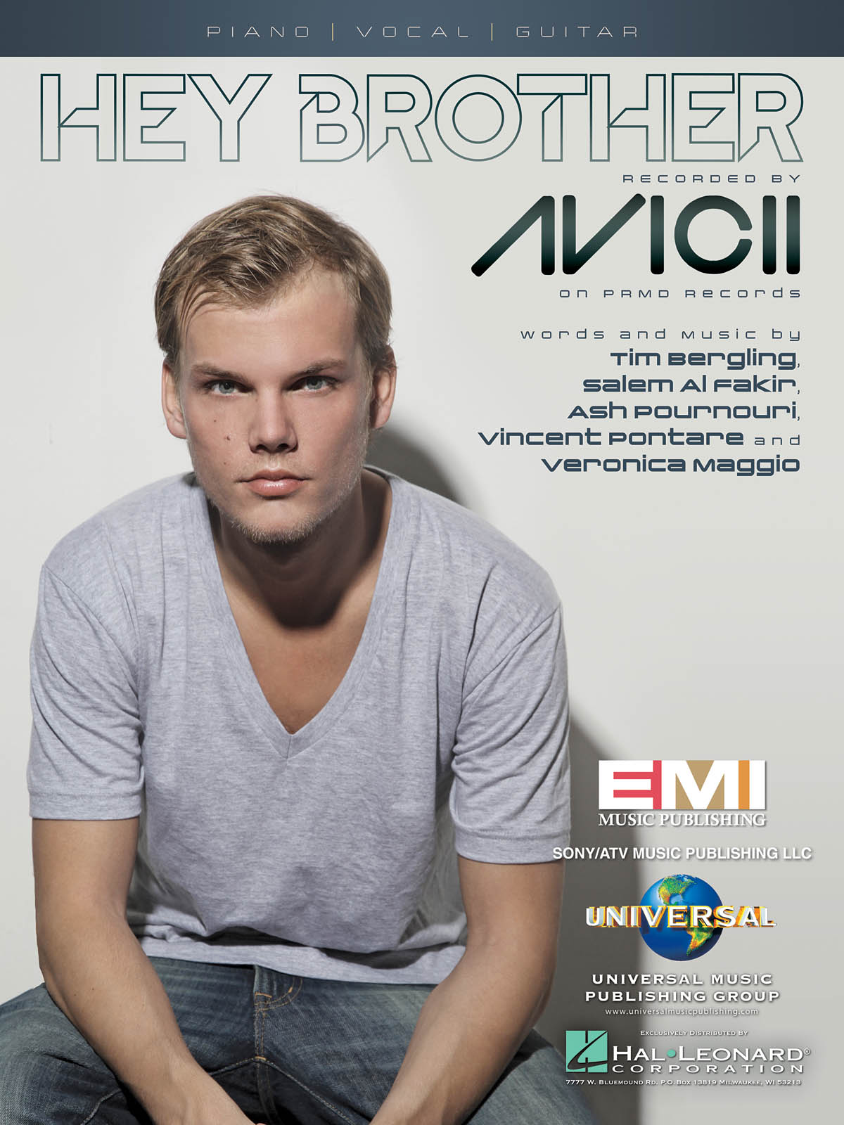 Avicii Hey Brother Pvg Sheet