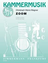 Zoom Fr Flte Mit Gitarre