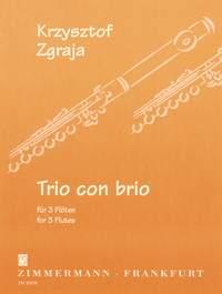 Trio Con Brio Fr 3 Flten