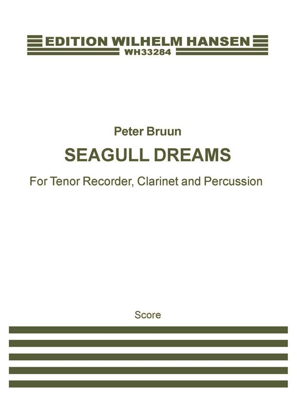Seagull Dreams